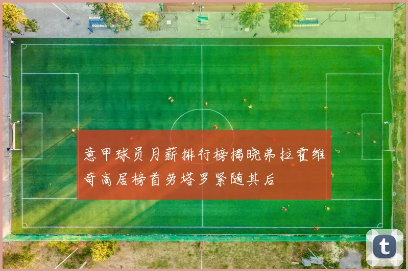 意甲球员月薪排行榜揭晓弗拉霍维奇高居榜首劳塔罗紧随其后